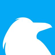 Raven Tools logo
